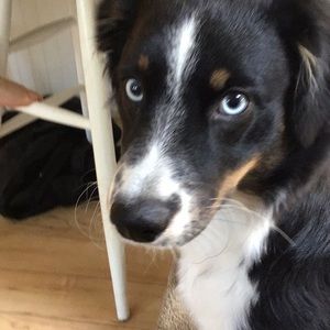 Meet your Posher, Haylee